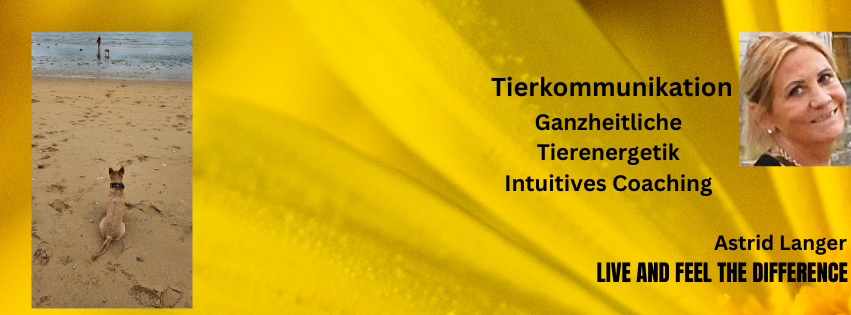 Tierkommunikation Ganzheitliche Mensch- Tierenergetik Astrid Langer